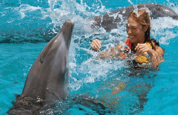 Isla Mujeres y Dolphin Swim Adventure